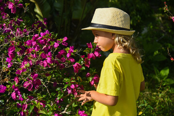 A little curly-haired boy walks in nature in a hat and a yellow T-shirt. Family vacation, traveler, trip, summer time. Green grass and blue sky in the background, front view, life style