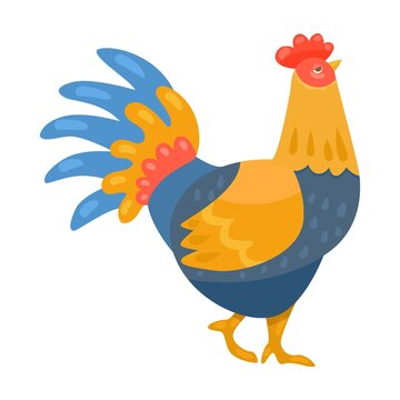 recommend clip art: Important multicolored rooster. Different farm birds cartoon illustration isolated on white background. Domestic animal