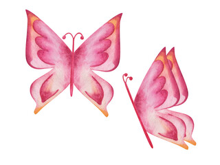 Watercolor illustration of hand painted pink, yellow butterfly with spread wings. Flying insect moth in nature. Isolated on white clip art element for postcard, surface pattern making, posters