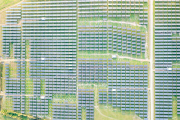 Solar farm, field or solar power plant in aerial view consist of photovoltaic cell in panel, landscape, technology. Industry for electric, electricity generation. Clean green power energy from nature.