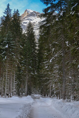 winter in the mountains
