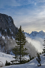 snow covered mountains