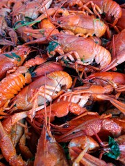 Boiled crayfish from a local pond