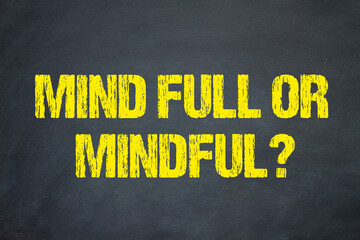 Mind full or mindful?