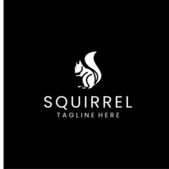 Squirrel logo icon design vector 