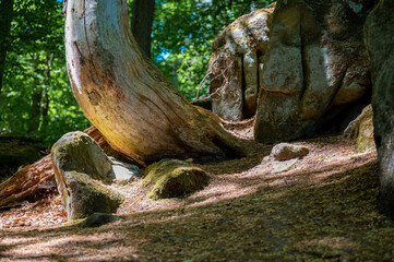 Die Teufelsschlucht beim Dinopark in Ernzen