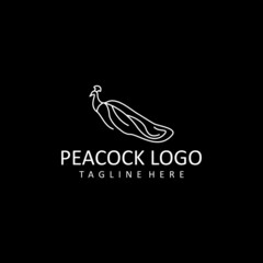 Peacock logo icon design vector 