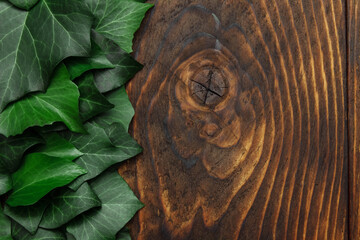 Green ivy leaves on vintage brown background close-up with an empty space for text, copy space, flat lay, cover design concept, greeting card, background for organic products, decoration element