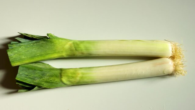 Two leeks isolated on gray background, Allium ampeloprasum, porrum