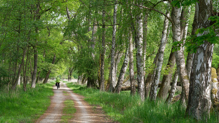 Müritz  Nationalpark