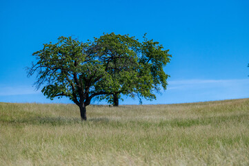 Natur und Stadt Ommersheim im Saarland