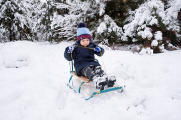 Fototapeta na wymiar A preschooler boy sleds in a snow-covered forest in the winter