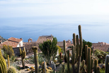 Le Jardin Exotique in Eze Village near Nice in France. Beautiful garden with rare species
