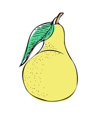 Illustration in graphic style. depicts a pear. hand drawing. illustration on white background. pastel colors. vector