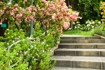 Scenery of trees, flowers and stairs in Chatuchak Park, Bangkok, Thailand 