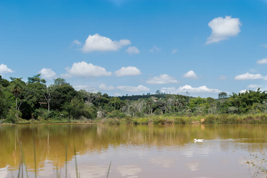 Lagoa com águas escuras, cercada com muita vegetação e céu azul, em área de sítio localizado em Juatuba, Minas Gerais, Brasil.