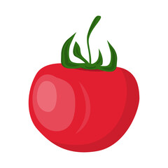 ripe tomato isolated on white background, flat design vector illustration