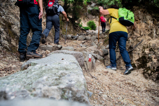 Gruppo di escursionisti di trekking lungo un sentiero di terra battuta e rocce in montagna