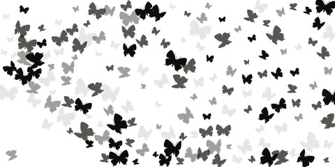 Exotic black butterflies abstract vector wallpaper. Spring vivid moths. Simple butterflies abstract children illustration. Delicate wings insects patten. Nature beings.