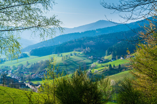 Germany, Black forest tourism region village in valley surrounded by majestic tree covered mountains in springtime with sun