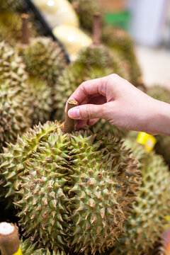 Action of human hand is picking up a big piece of Durian from the stall at supermarket. Buying and eating diet food concept photo, selective focus.