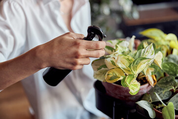 Guy taking care of plants and holding spray bottle