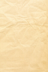 Vertical brown kraft paper with details texture