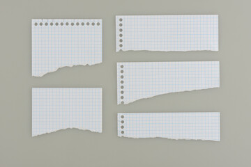 Fototapeta na wymiar Trozos de papel de una libreta con dibujo de cuadricula recortados, sobre fondo gris
