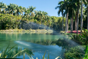Lindo lago artificial com muitas palmeiras ornamentais, pequeno jato d'água e outras vegetações em volta, localizado no museu a céu aberto de Brumadinho, Minas Gerais, Brasil.