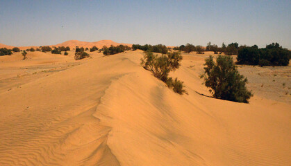 marruecos bereber desierto sahara