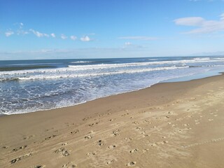 mare
