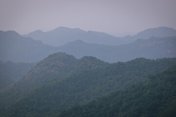 Naklejka premium Beautiful nature, sky, trees, evening atmosphere at Khao Yai National Park, Thailand