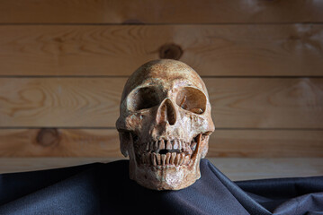 Human skull on wooden board with still life style