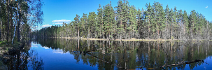 Panorama of the forest river in the national park.