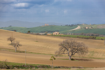 Fototapeta na wymiar Feld in der Mittagssonne in den Hügeln im Val D´Orcia in der Toskana