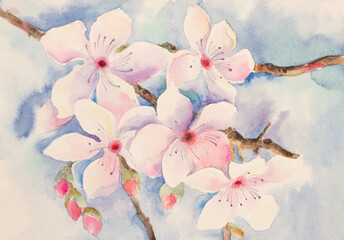 cherry blossom branch - 507327910