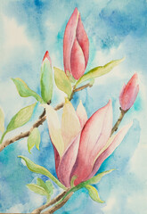 pink magnolia flower - 507328391