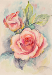bright pink rose - 507328522