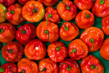 Tipical panamanian basket with pepers 