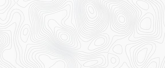 White wave paper curved reliefs abstract background, Abstract topographic contours map background, Topography map background. Vector geographic contour map. 