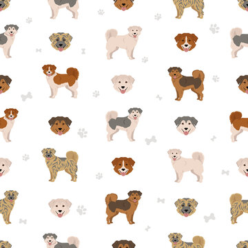 Aidi seamless pattern. Different poses, coat colors se
