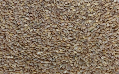  background pearl barley