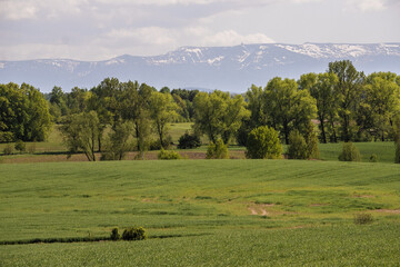 Karkonoskie Foothills in Poland called Krkonošské podhůří or Pogórze Karkonoskie with a view of Szrenica and Snieżne Kotły in early spring 