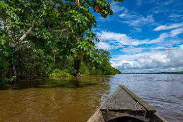 Fototapeta na wymiar Amazon Rainforest Riverbank. Sailing down river Yanayacu at the Amazon jungle, near Iquitos, Peru. South America. 