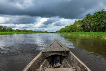 Amazon Rainforest Riverbank. Sailing down river Yanayacu at the Amazon jungle, near Iquitos, Peru. South America. 