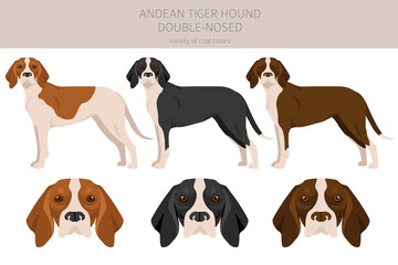 Andean Tiger hound double-nosed clipart. Different poses, coat colors set