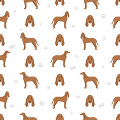 Apennine hound clipart. Different poses, coat colors set