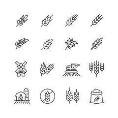 Foto op Plexiglas Cereal grain related icons: thin vector icon set, black and white kit © Mykola