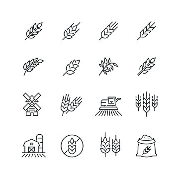 Cereal grain related icons: thin vector icon set, black and white kit