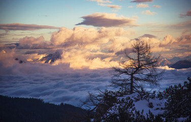 Fototapeta na wymiar Fog under the mountains at sunset